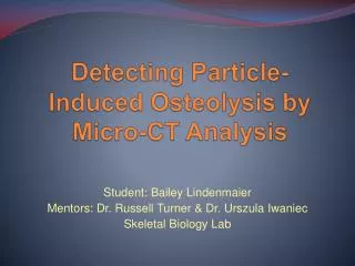 Detecting Particle-Induced Osteolysis by Micro-CT Analysis