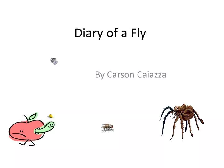 diary of a fly