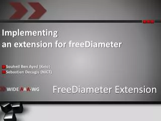 Implementing an extension for freeDiameter