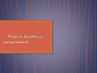 Protein Synthesi s