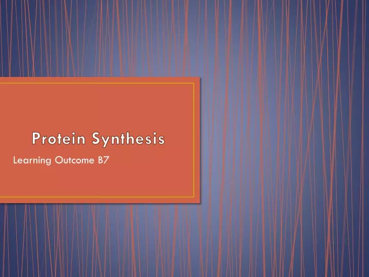 protein synthesi s