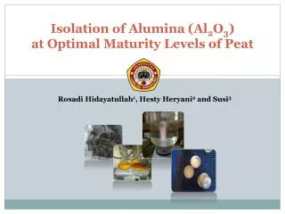 Isolation of Alumina (Al 2 O 3 ) at Optimal Maturity Levels of Peat