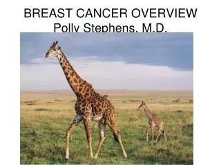 BREAST CANCER OVERVIEW Polly Stephens, M.D.