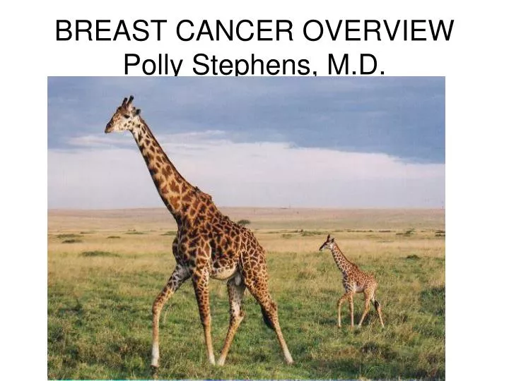 breast cancer overview polly stephens m d