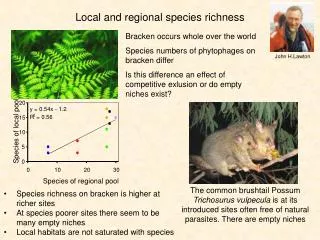 Local and regional species richness