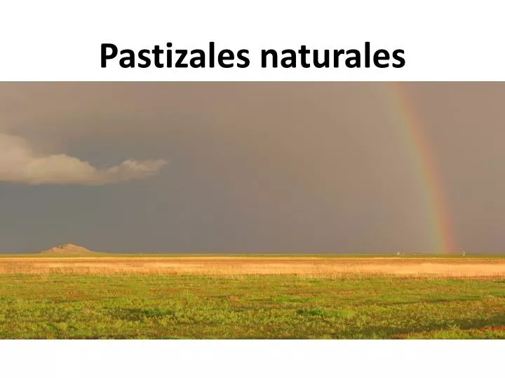 pastizales naturales