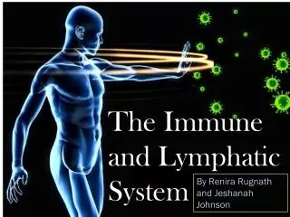 The Immune and Lymphatic System