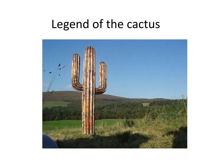 legend of the cactus