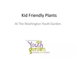 Kid Friendly Plants