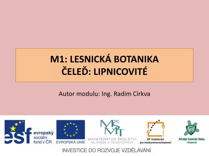 m1 lesnick botanika ele lipnicovit