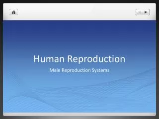 Human Reproduction