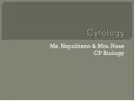Cytology - slide 1