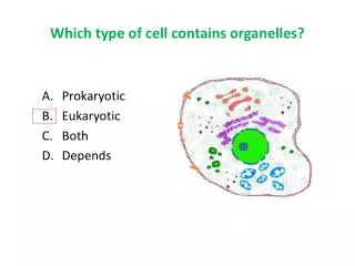 Which type of cell contains organelles?