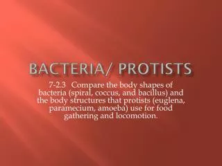 Bacteria/ Protists