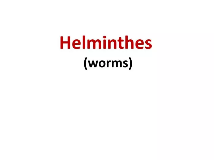helminthes worms
