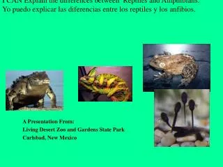 I CAN Explain the differences between Reptiles and Amphibians.