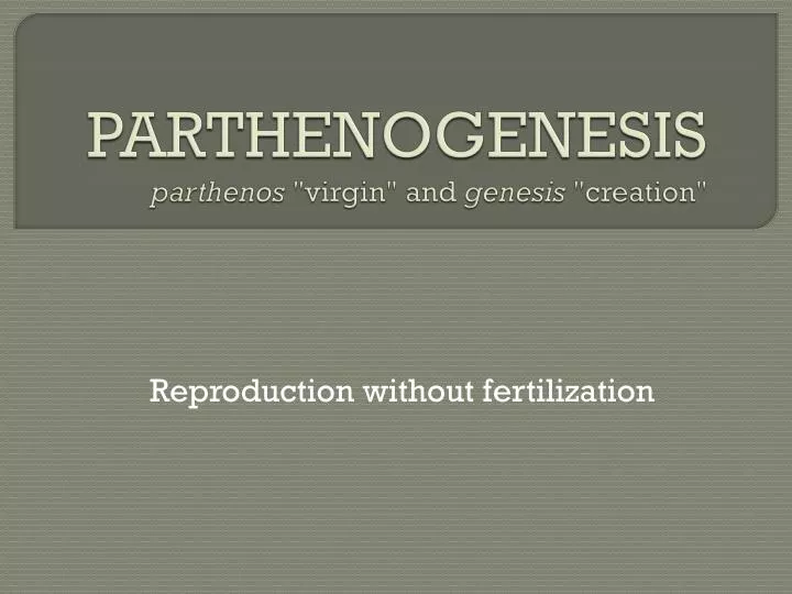 parthenogenesis parthenos virgin and genesis creation