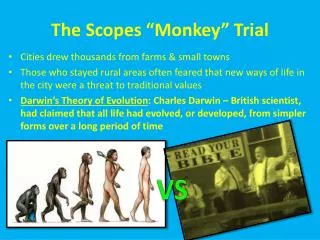 the scopes monkey trial