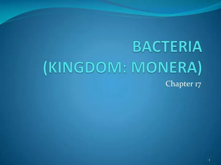 bacteria kingdom monera