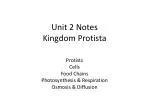 Unit 2 Notes Kingdom Protista - slide 1