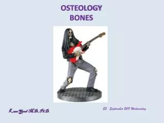 OSTEOLOGY BONES