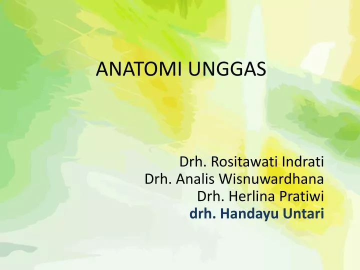 anatomi unggas