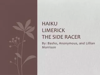 Haiku limerick the side racer