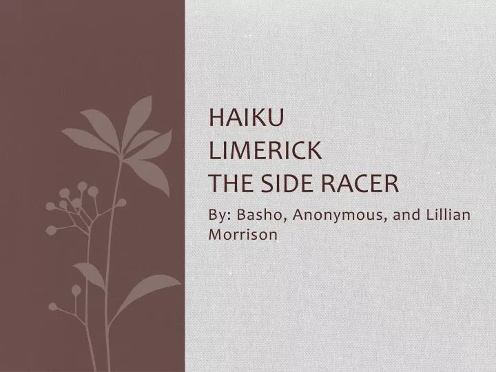 haiku limerick the side racer