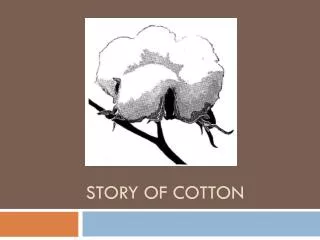 Story of cotton