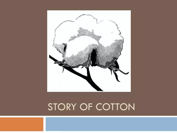 story of cotton