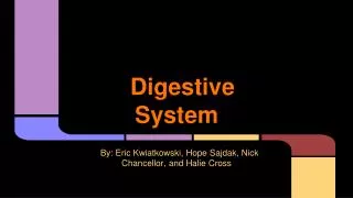 Digestive System