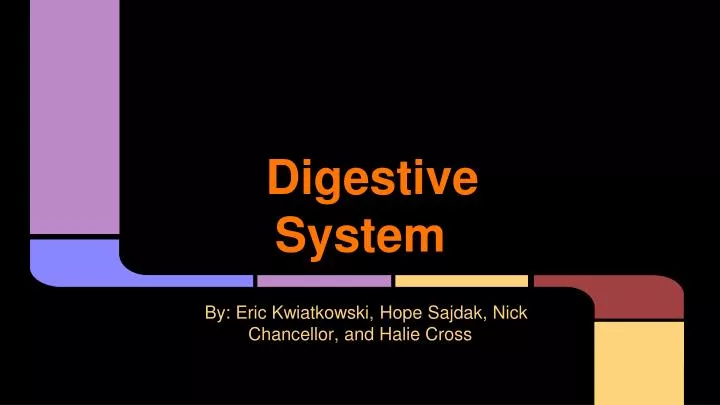 digestive system