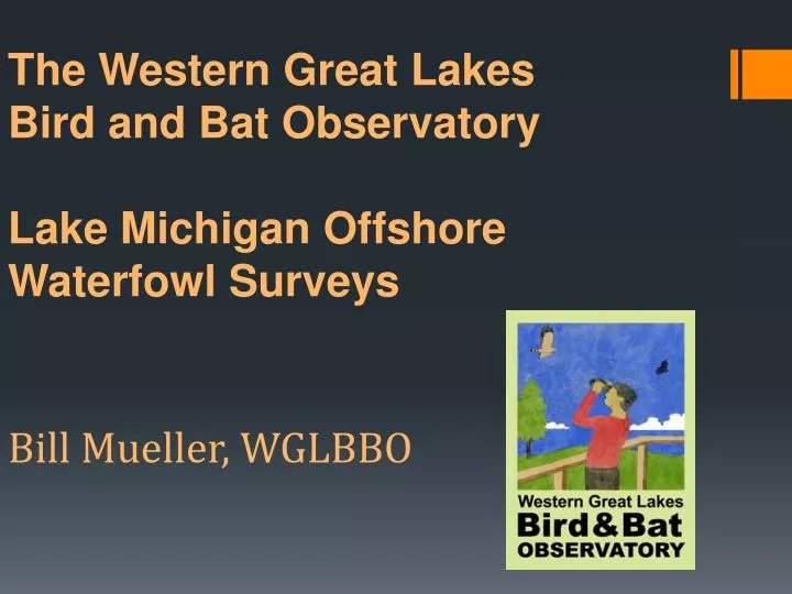 the western great lakes bird and bat observatory lake michigan offshore waterfowl surveys