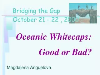 Oceanic Whitecaps: Good or Bad?