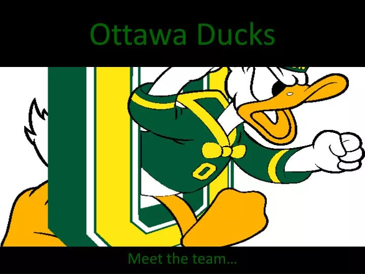 ottawa ducks