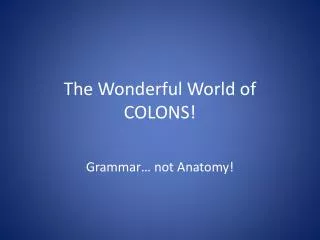 The Wonderful World of COLONS!