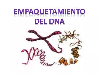 Empaquetamiento del DNA