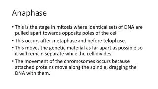 Anaphase