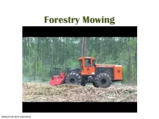 Forestry Mowing