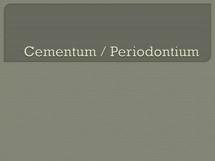 cementum periodontium