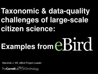 Taxonomic &amp; data-quality challenges of large-scale citizen science: Examples from