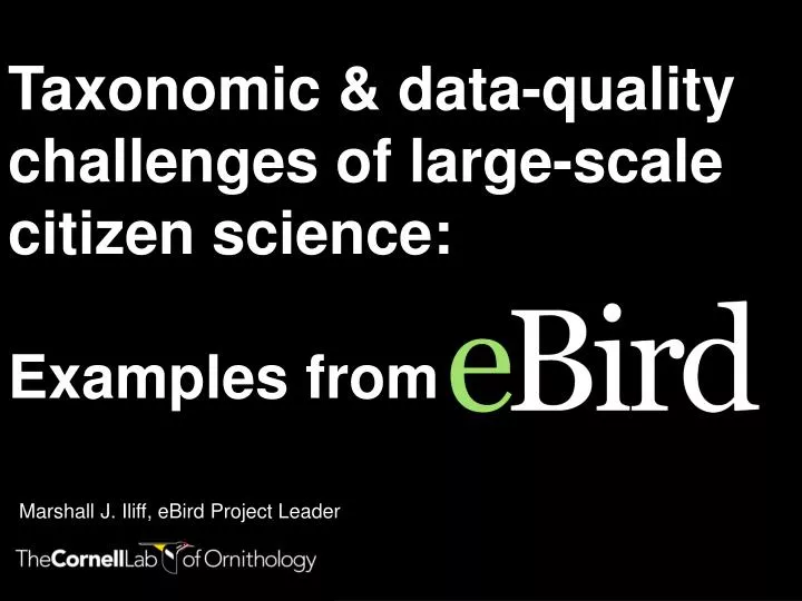taxonomic data quality challenges of large scale citizen science examples from