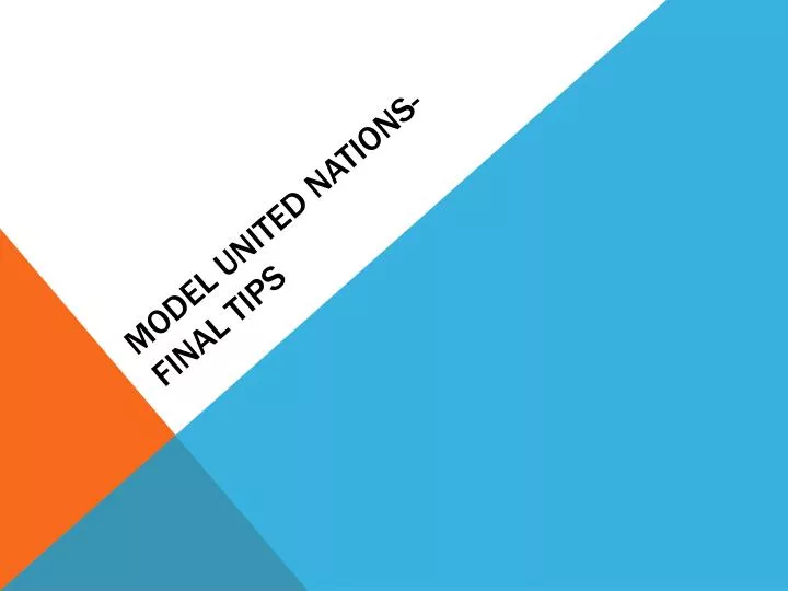 model united nations final tips