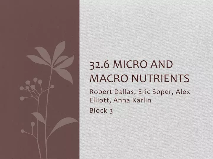 32 6 micro and macro nutrients