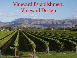 Vineyard Establishment ---Vineyard Design---