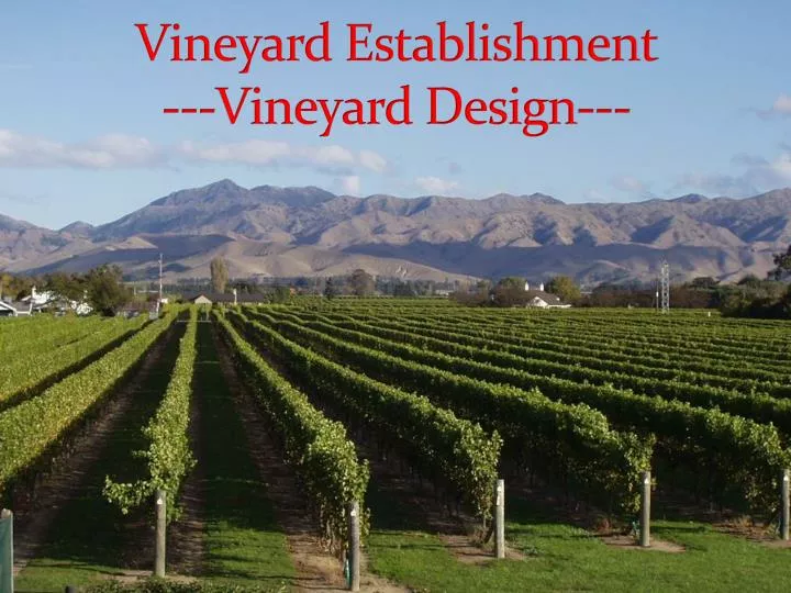 vineyard establishment vineyard design