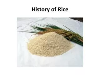 History of Rice