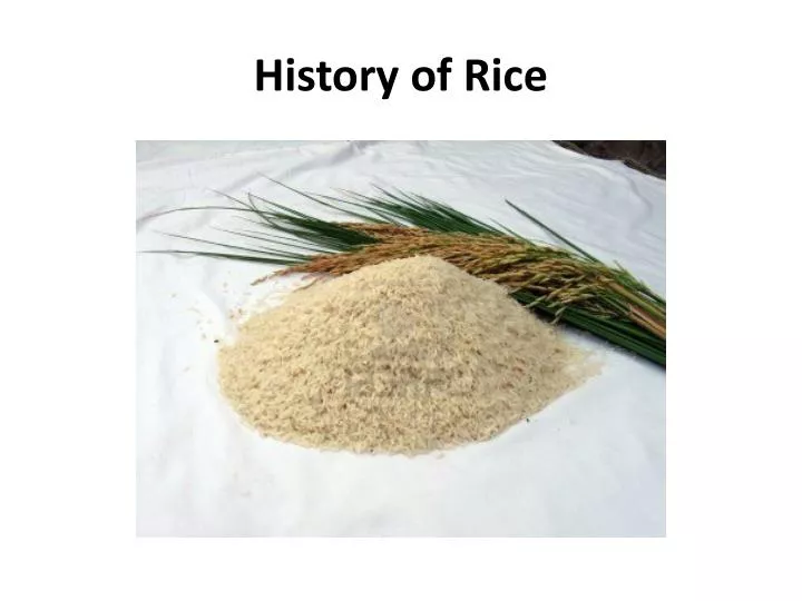 history of rice