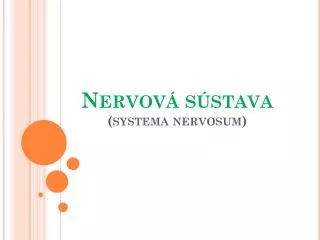 nervov s stava systema nervosum