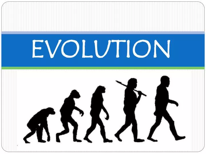 PPT - EVOLUTION PowerPoint Presentation, free download - ID:2304342
